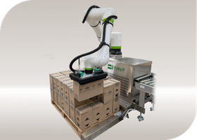 robot fond